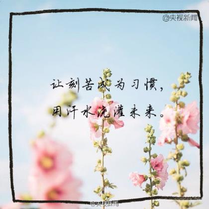 描写花的唯美爱情短句