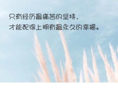 怕伤却弄一身伤说说