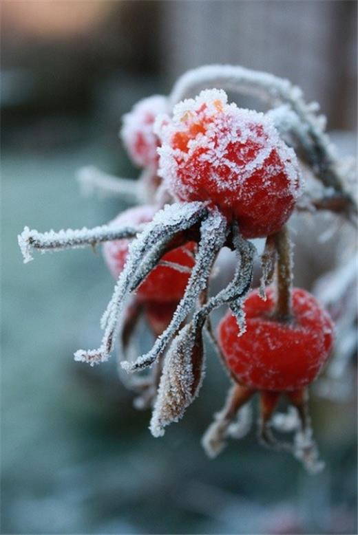 教师节家长对老师的祝福语